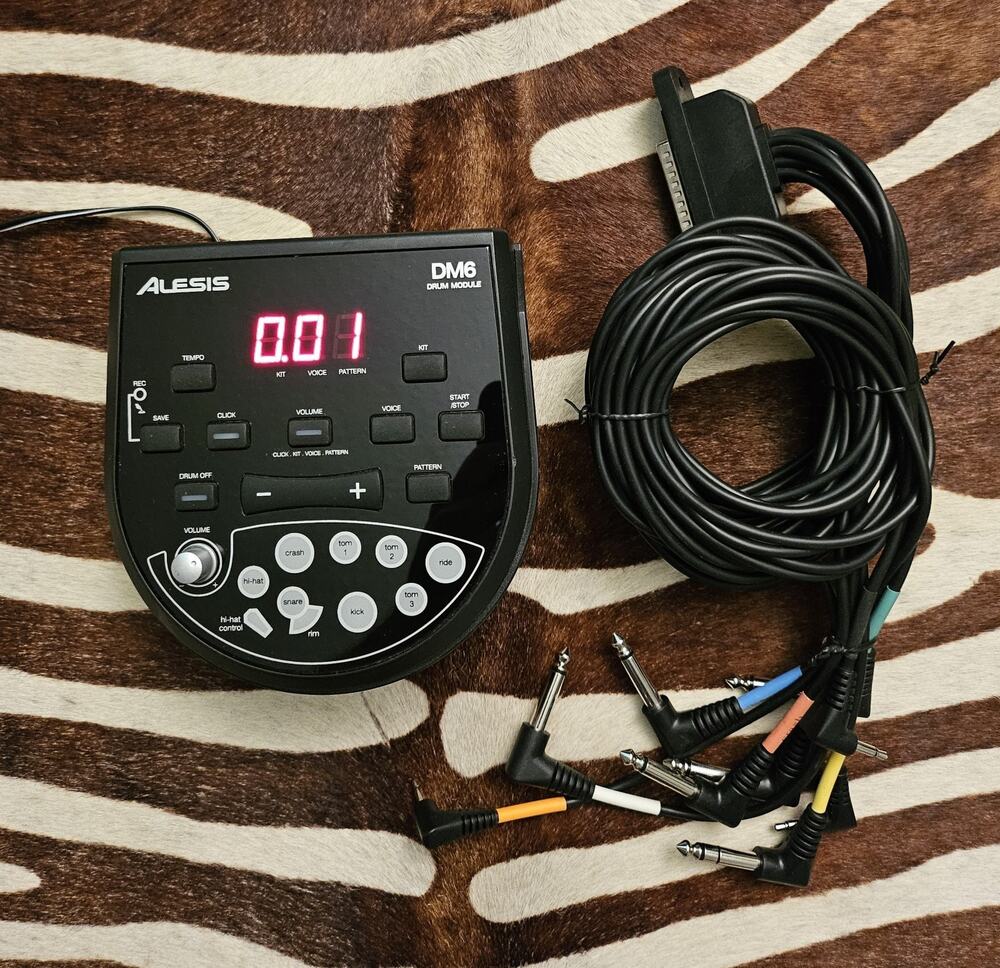 Alesis DM6 Drum Module Replacement Unit Module w/ Cable Harness & Power Adapter